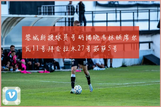 蓉城新援球员号码揭晓韦林顿席尔瓦11号拜合拉木27号茹萨5号