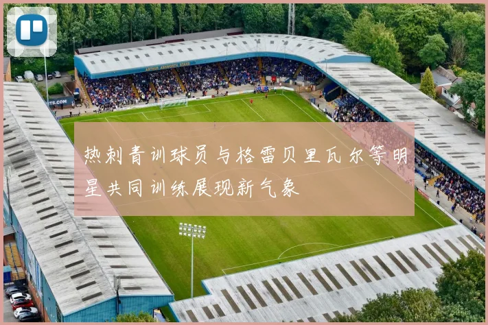 热刺青训球员与格雷贝里瓦尔等明星共同训练展现新气象