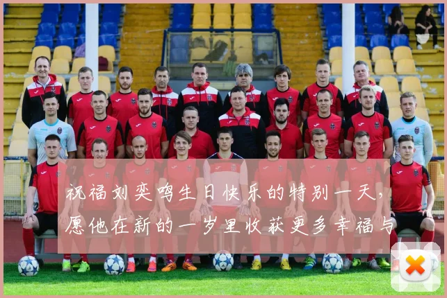 祝福刘奕鸣生日快乐的特别一天，愿他在新的一岁里收获更多幸福与成功